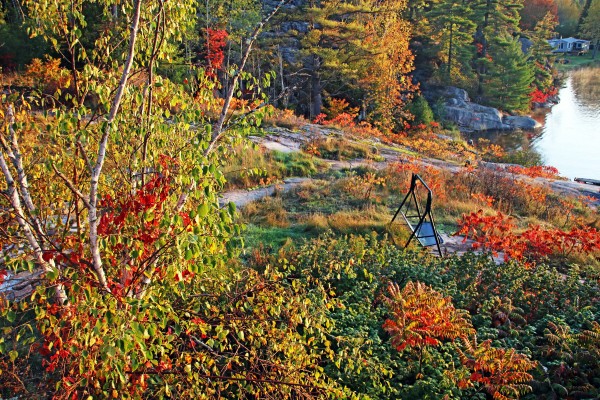 Swing Into Fall by Deb Oppermann